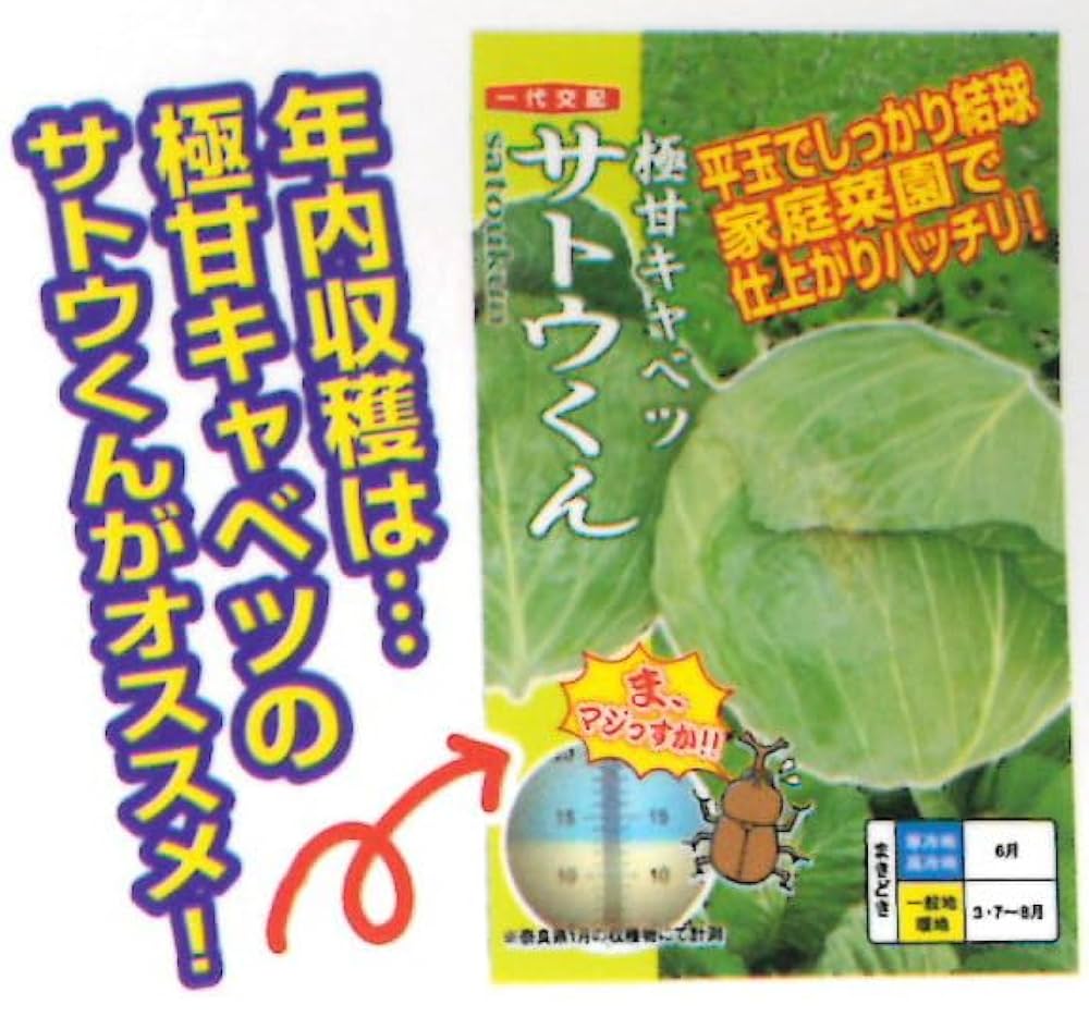 サトウくん 511+b8M7S8L._UF1000,1000_QL80_.jpg